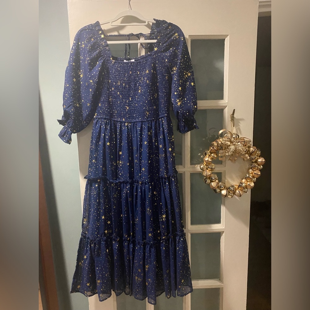 NWT Ivy City Co Starry Nights Dress